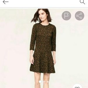 Loft leopard print drop waist dress